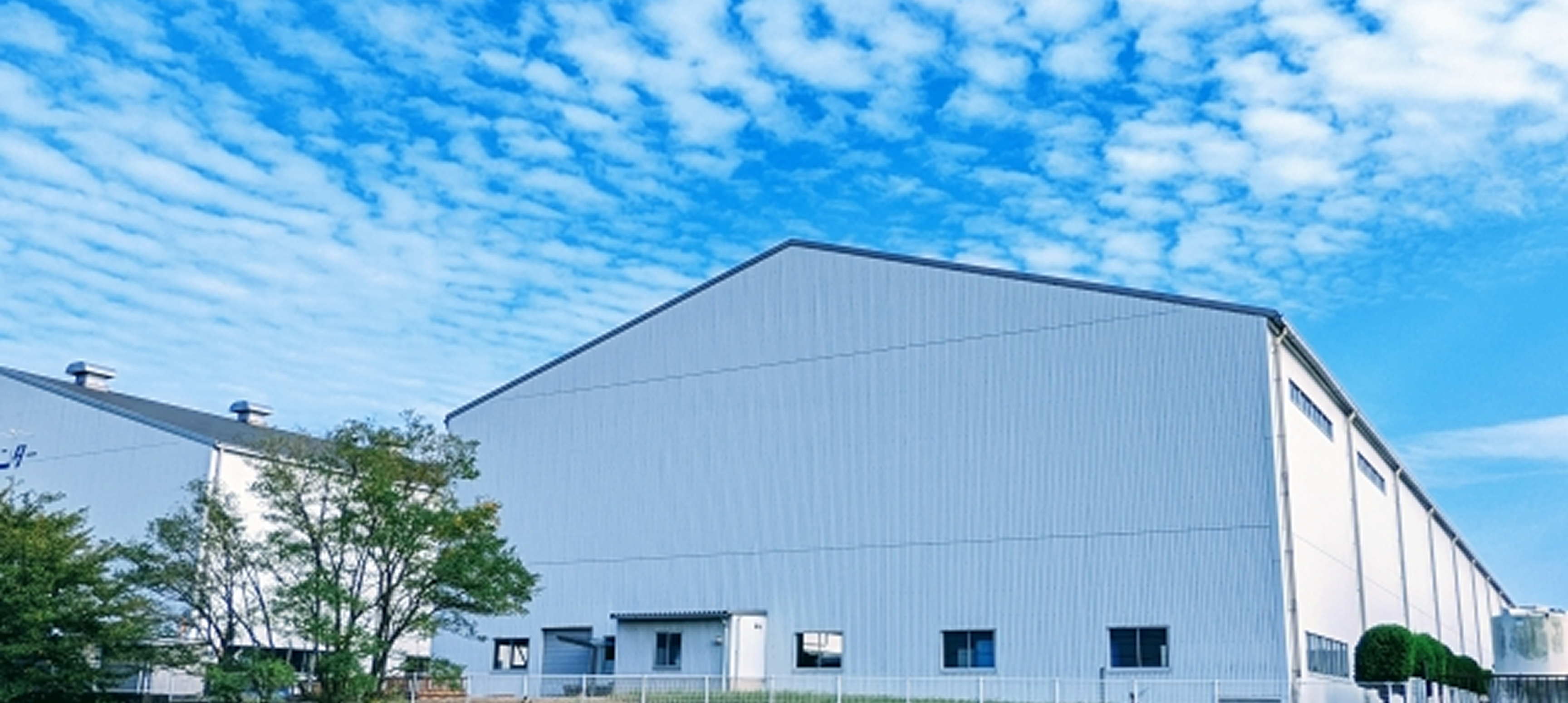 Building with panels