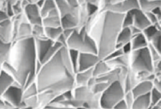Microscopic view