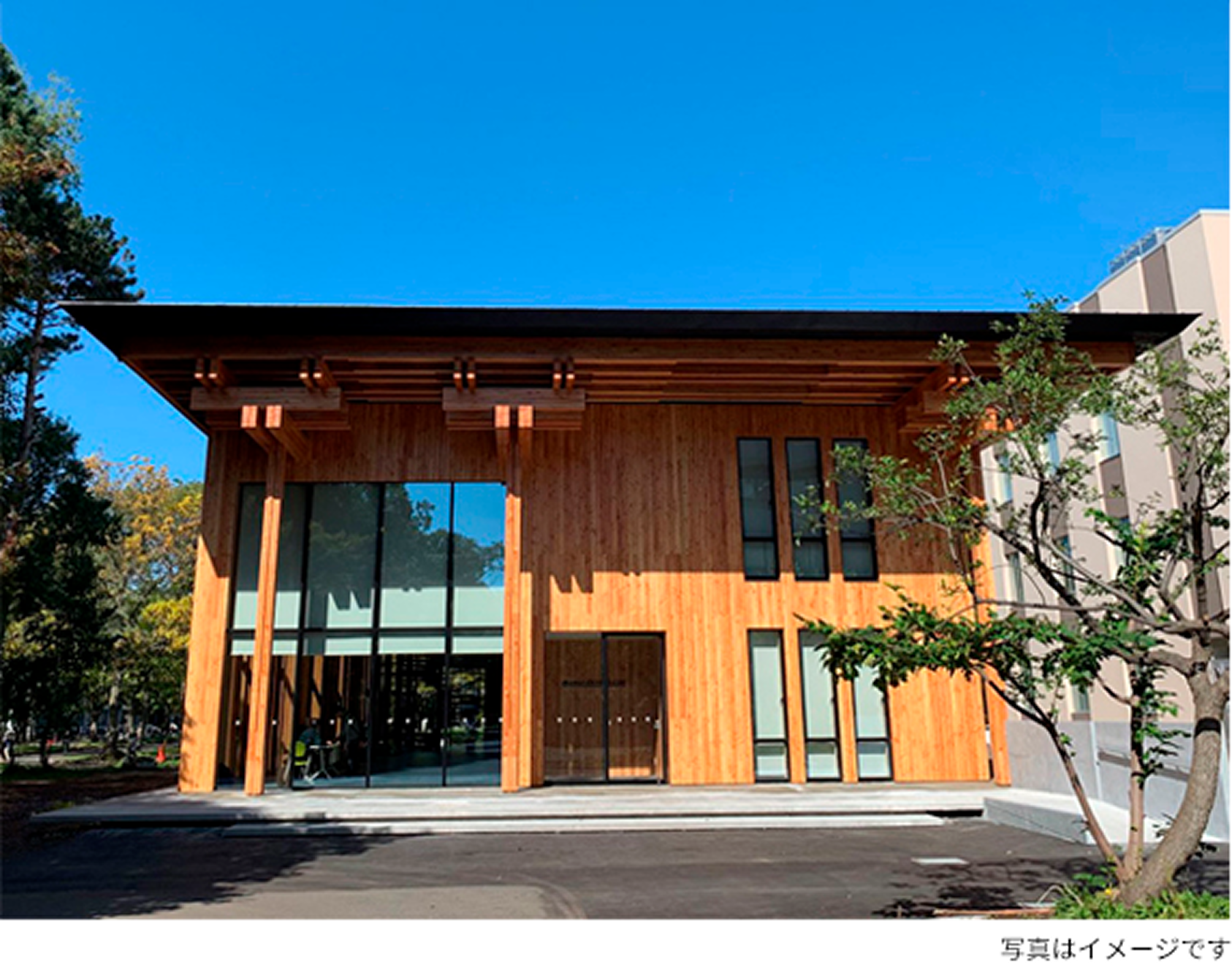 Modern wood building with glass facade